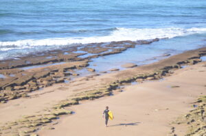 Pack Free Riders of tubes kamal