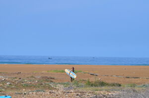 Pack Free Riders of tubes kamal