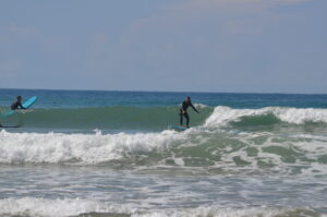 Pack Progression kamal