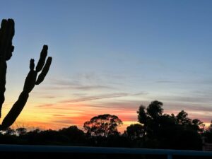 Surf House 62315fa0 1cb1 41d9 b861 0e8604458ad1